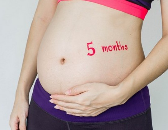 [Mách mẹ bầu] Cách chọn sữa cho bà bầu 5 tháng dễ uống, vào con không vào mẹ
